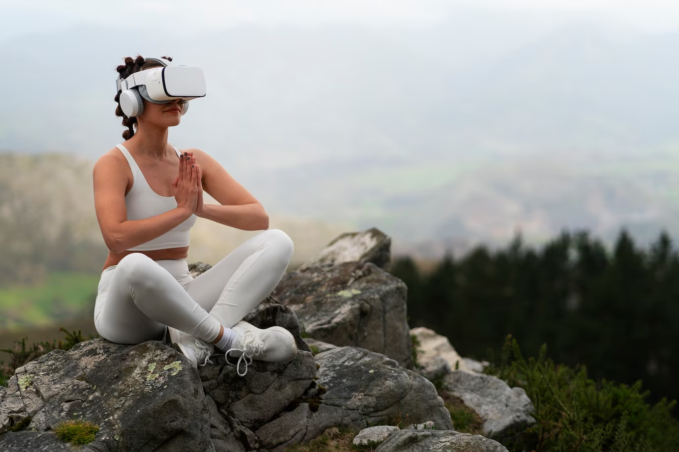 AI Future Digital Wellness Practices