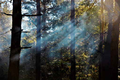 Nature-Based Travel