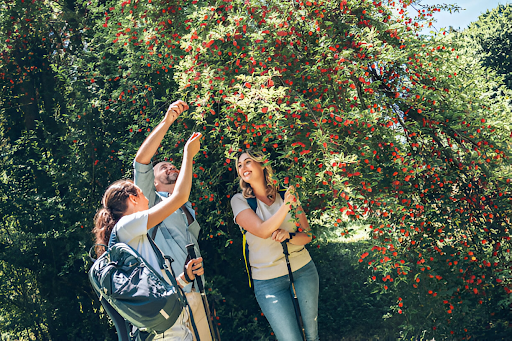 Kids Tech-Free Family Vacations about Nature