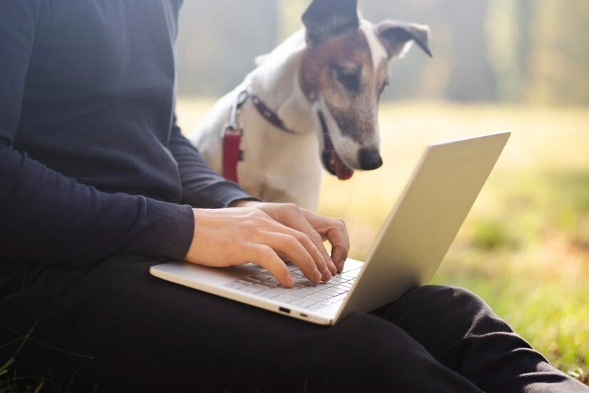 The History of Virtual Pets: From Tamagotchi to AI Companions
