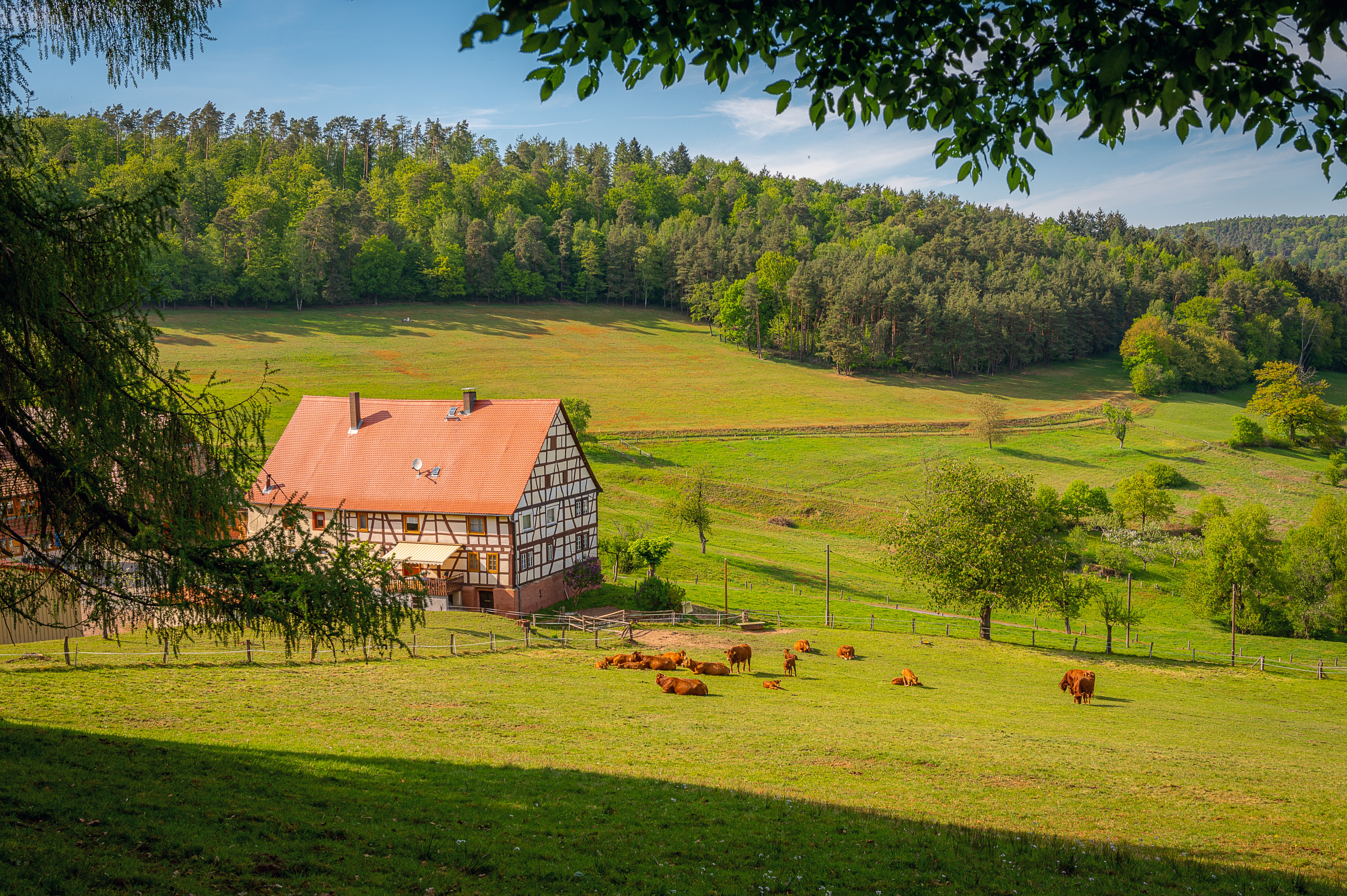 European Countryside Escapes Without Wi-Fi