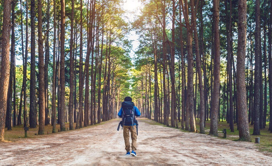 Pack for a Digital Detox Retreat