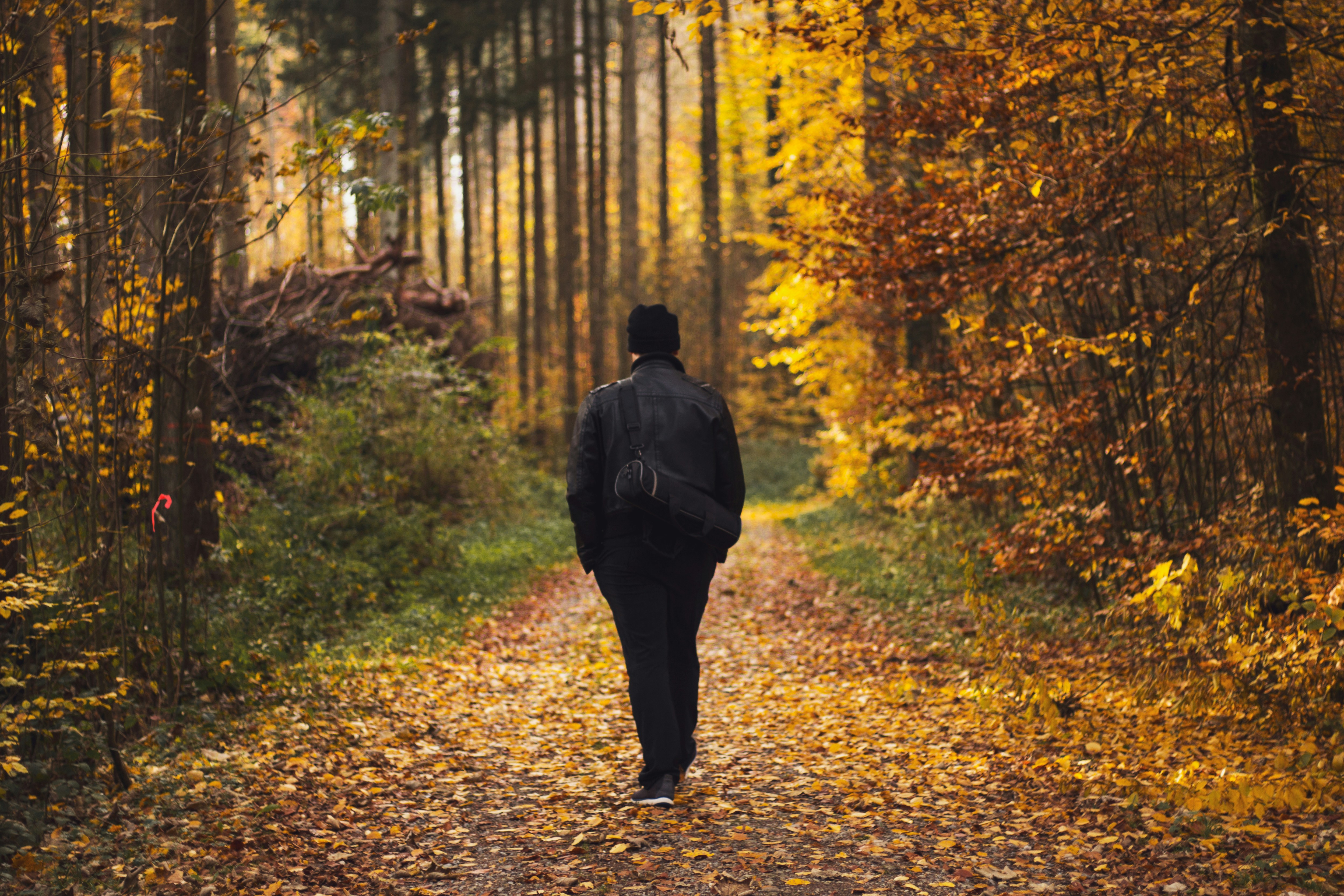 Meditative Photography - Mindful Travel Art