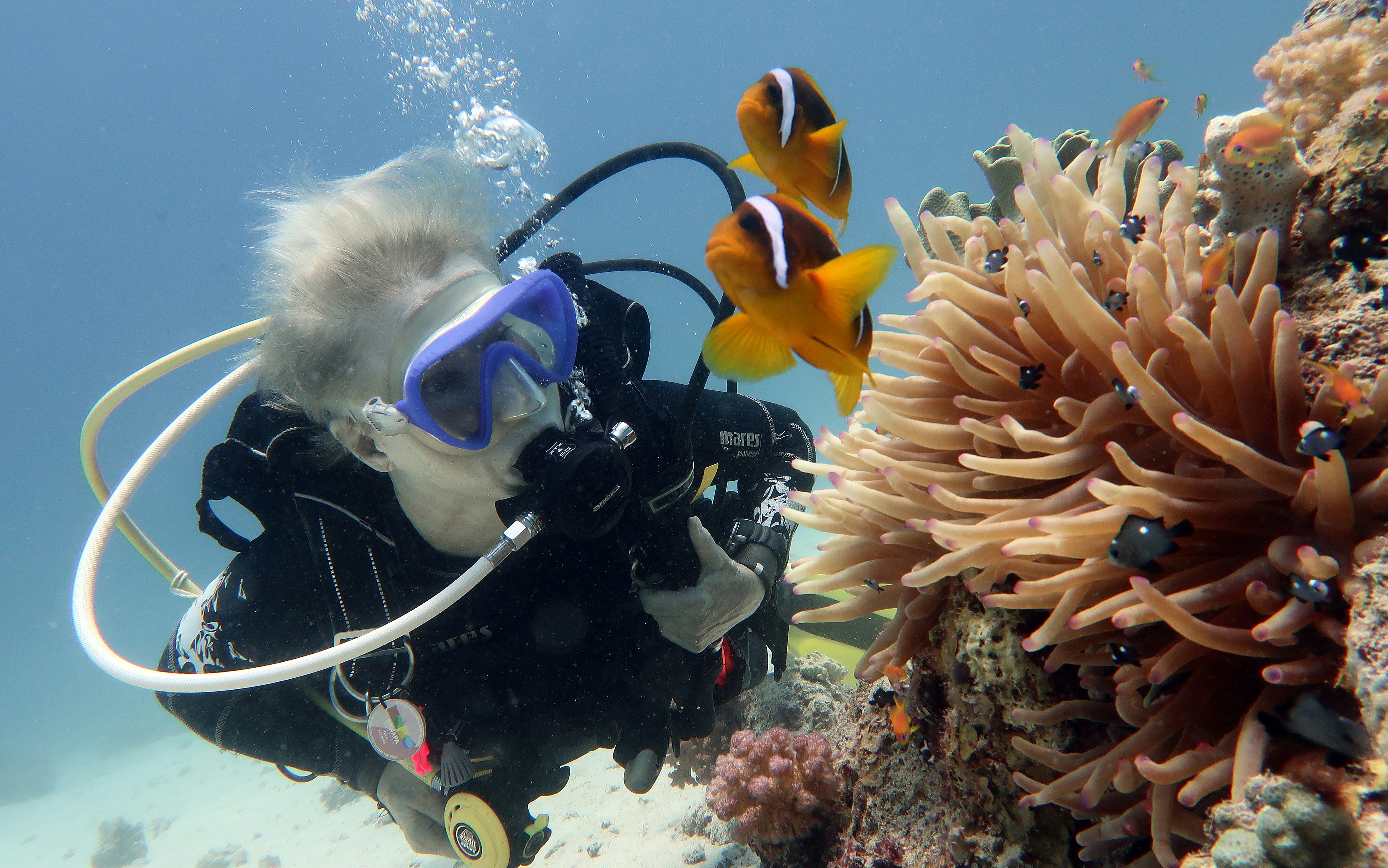 Mindful Scuba Diving to Observe Marine Life