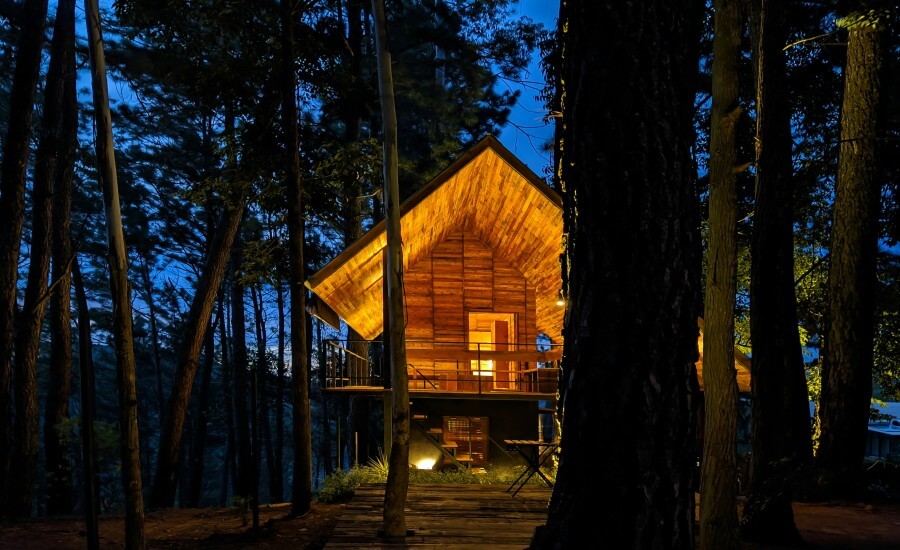 Nature Immersion Trips