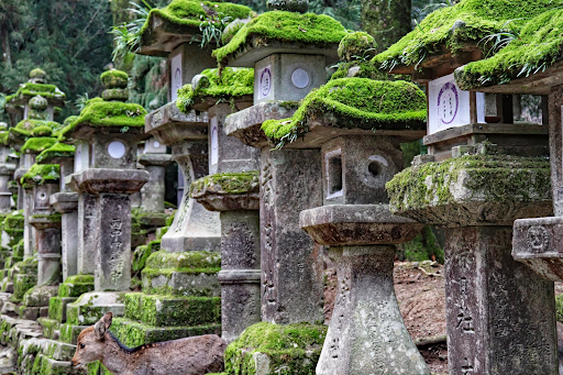 Offline Travel in Japan - digital detox travel