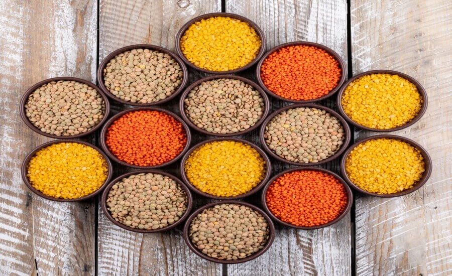 plant-based diet fiber benefits