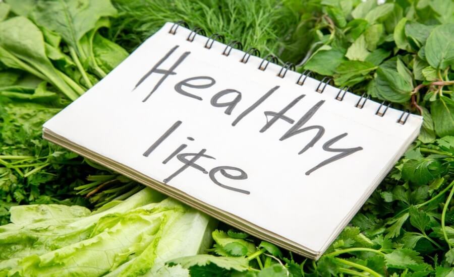 Best Plant Based Diet for Longevity & Healthier Life