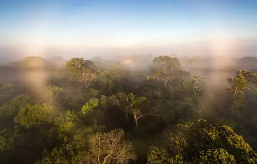 Sustainable Backpacking Guide for the Amazon Rainforest