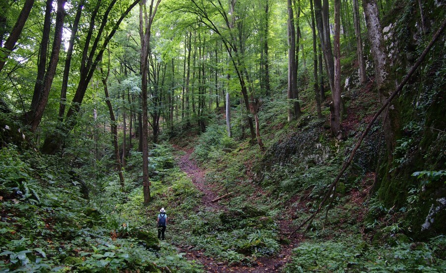 Top 7 Mindful Trekking Trails - Best Trails to Explore Slowly