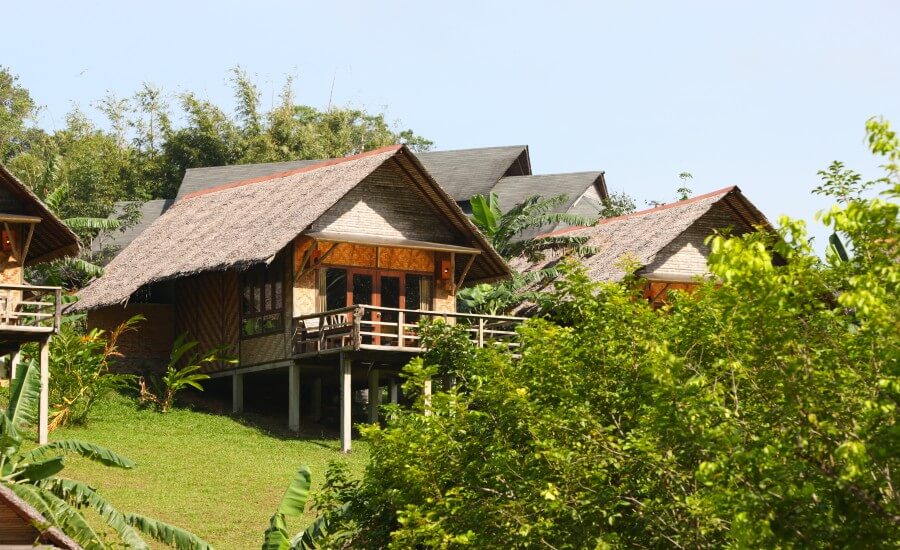 Tree House Resort: Guide to Elevated Stays for Nature Lovers