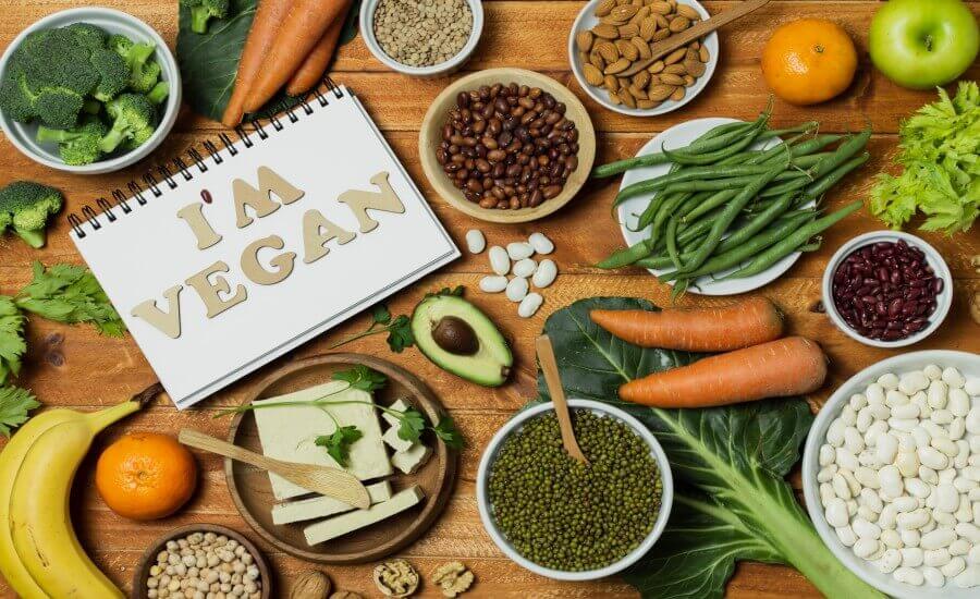 Vegan Diet Guide