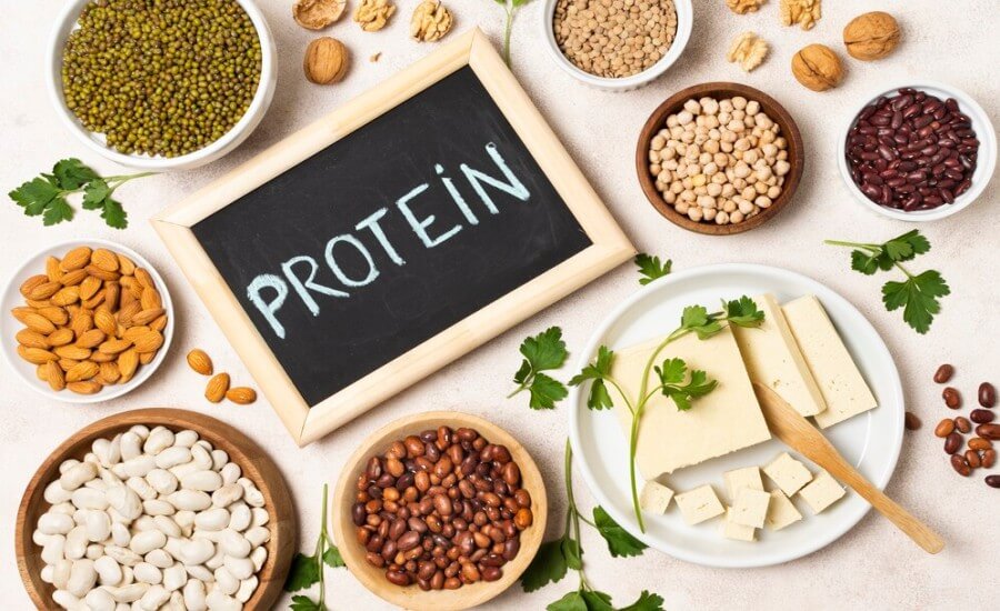 Vegan Protein Sources